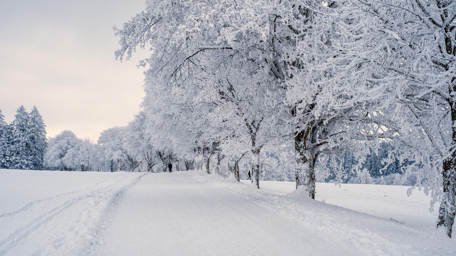 Mocne uderzenie zimy. Polacy masowo wykupują jedną rzecz, momentalnie znika ze sklepów