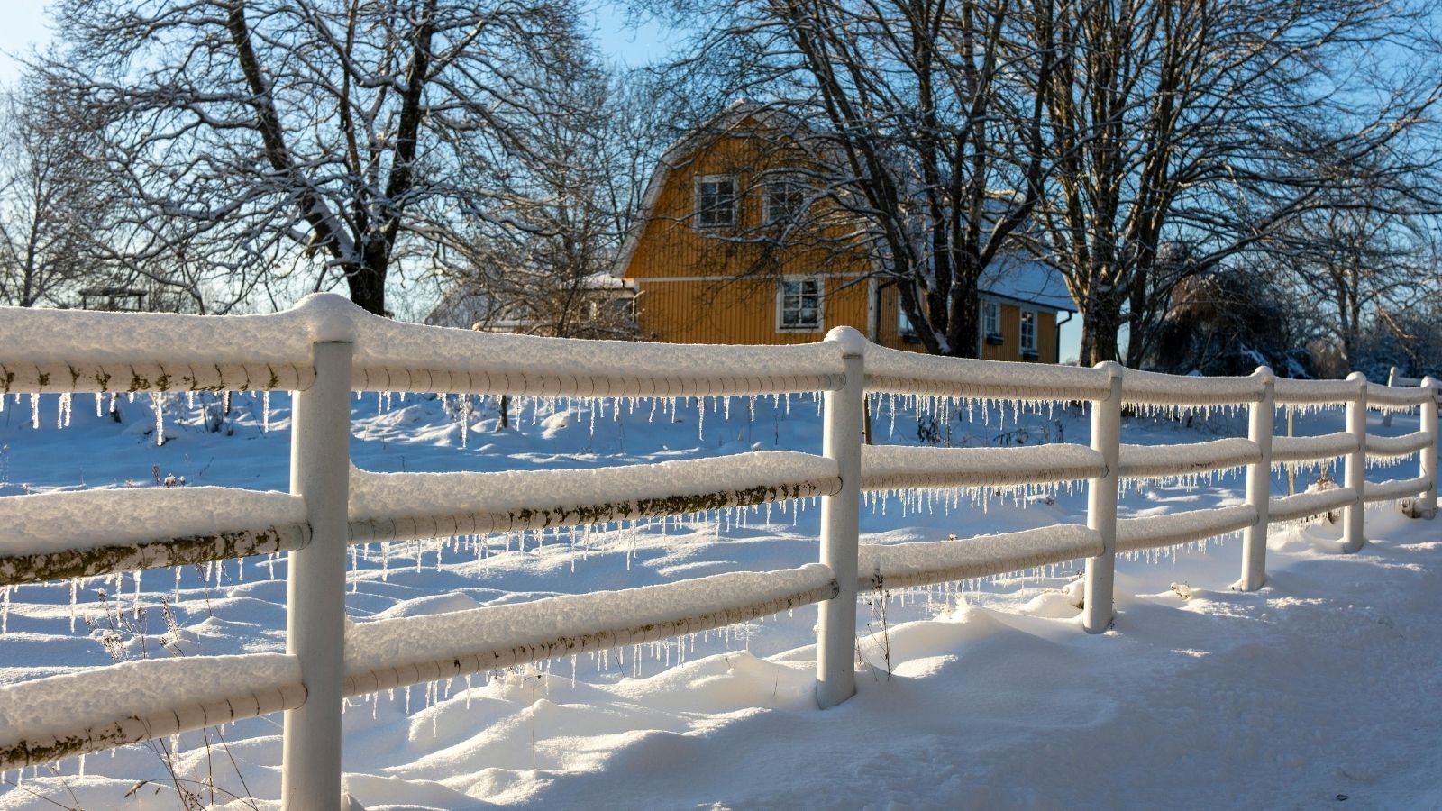 Ostrzegają przed piątkiem 16 stycznia. Zima szykuje zasadzkę, gołoledź sparaliżuje tę część Polski