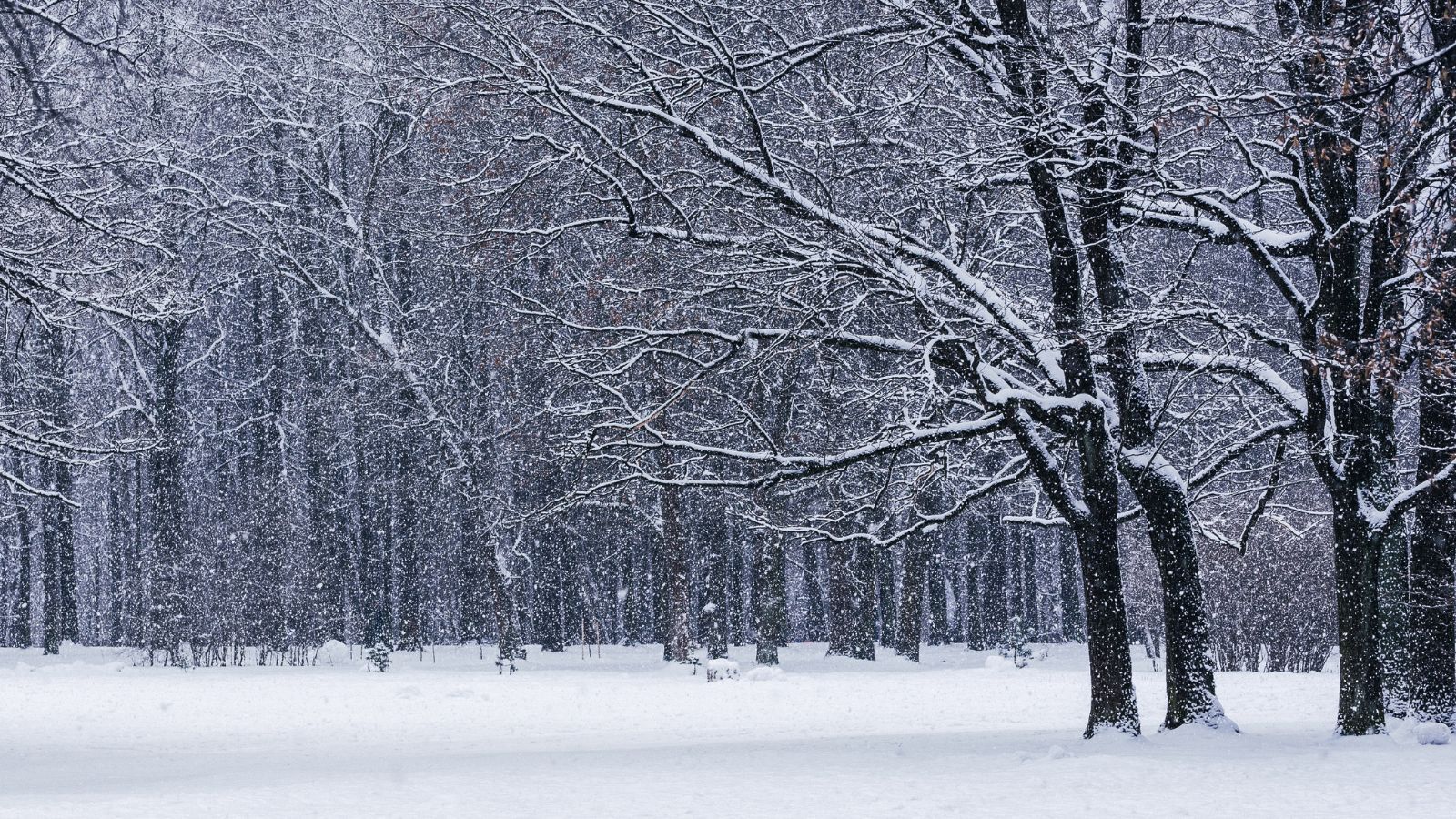Alerty IMGW dla prawie całej Polski. Wracają przymrozki, ale to niejedyne zmartwienie