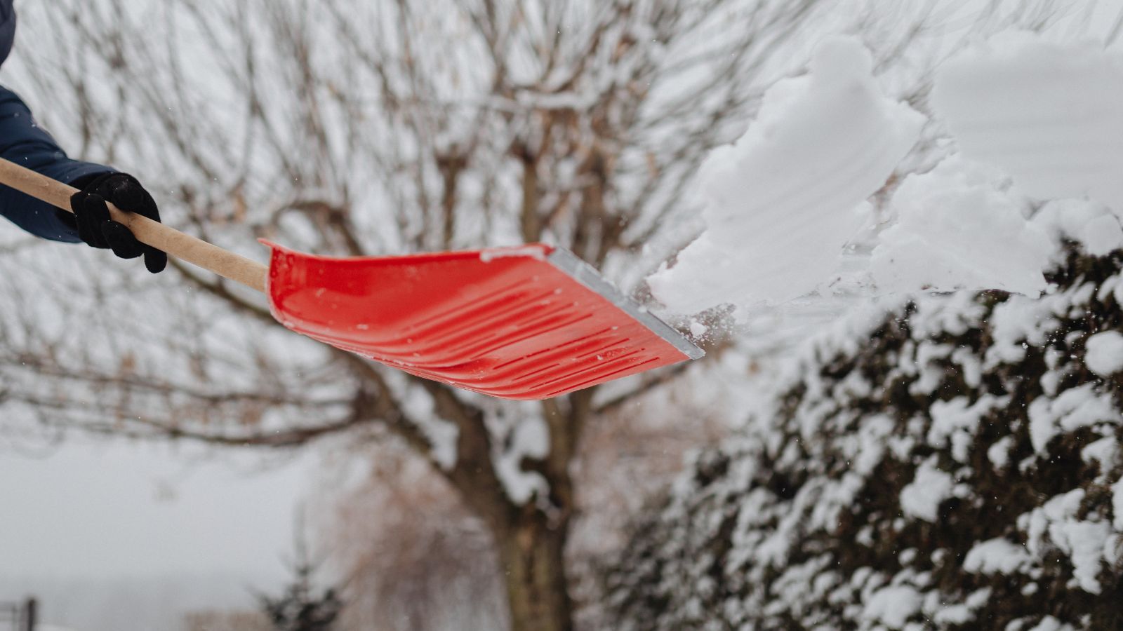 IMGW alarmuje. Ostrzeżenia III stopnia, przekroczony stan alarmowy