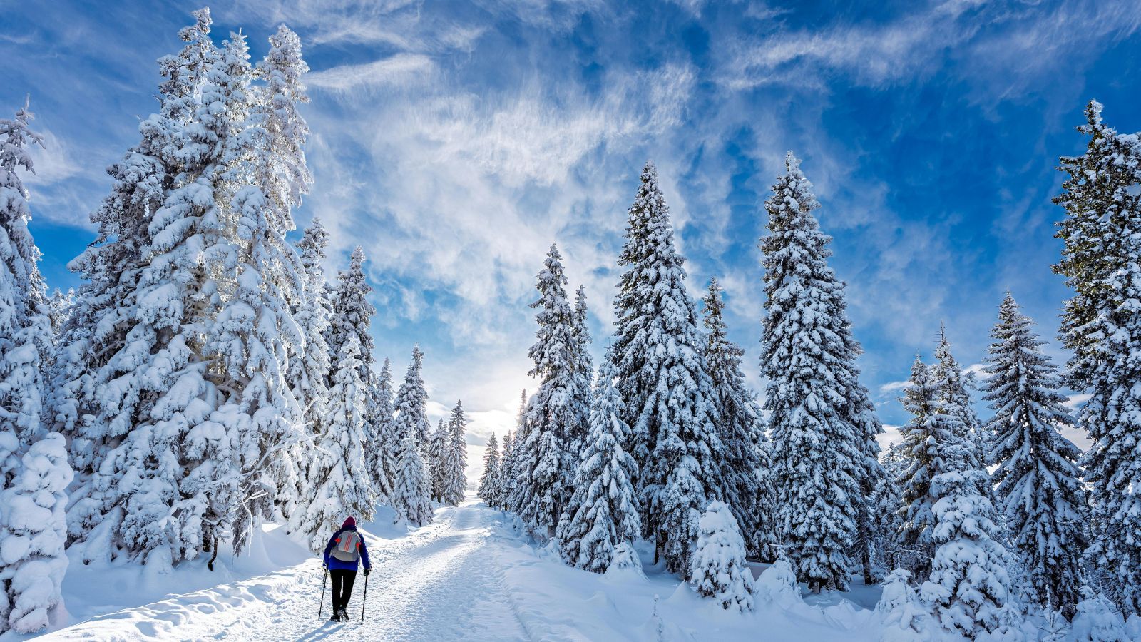W zimę jest tam 20 st. C, a bilety kosztują 200 zł. To hiszpański hit miejskich wyjazdów