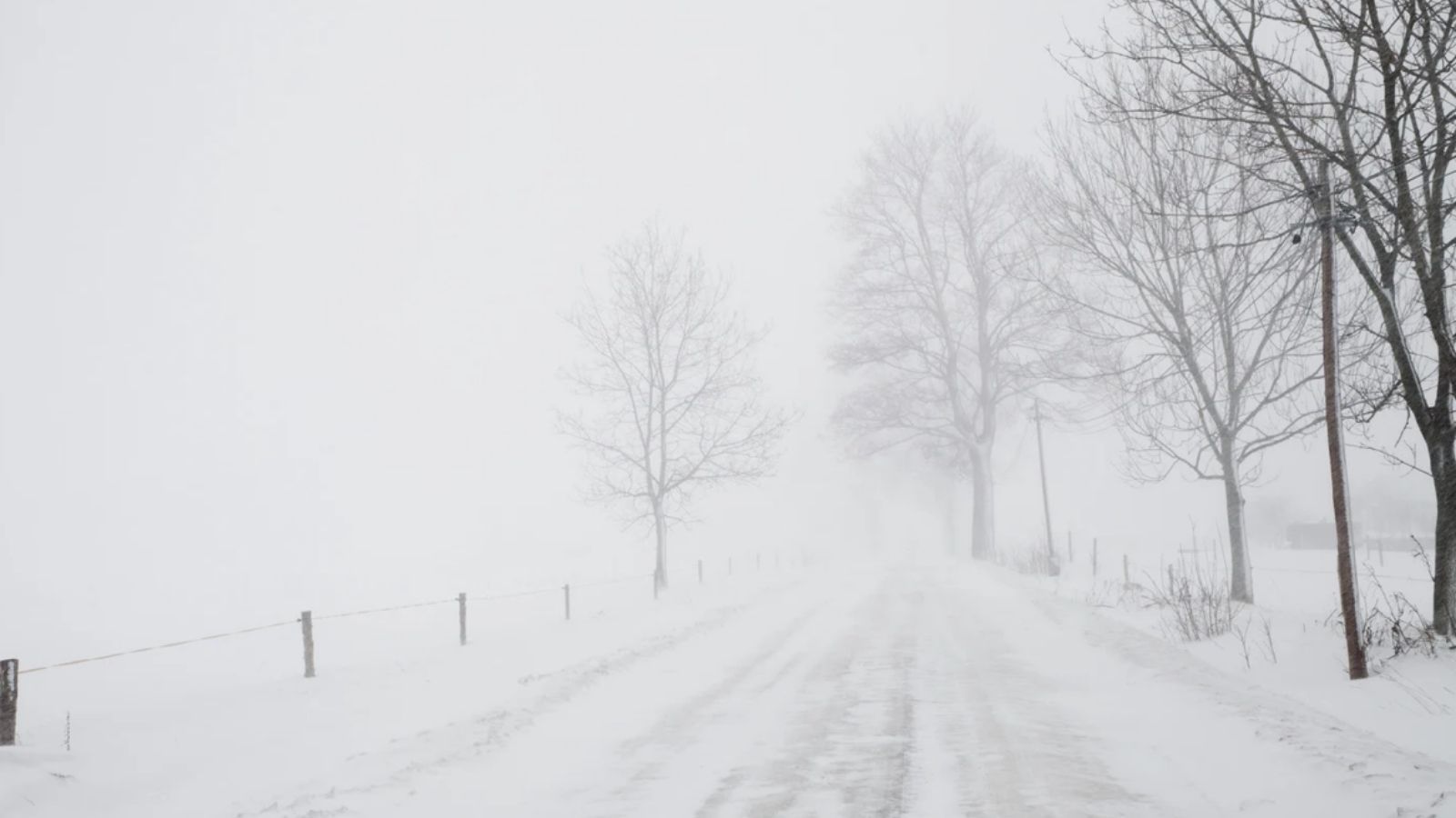 Tuż przed Wigilią czeka nas zimowy atak. Nagły zwrot w pogodzie, widać to wyraźnie na mapach