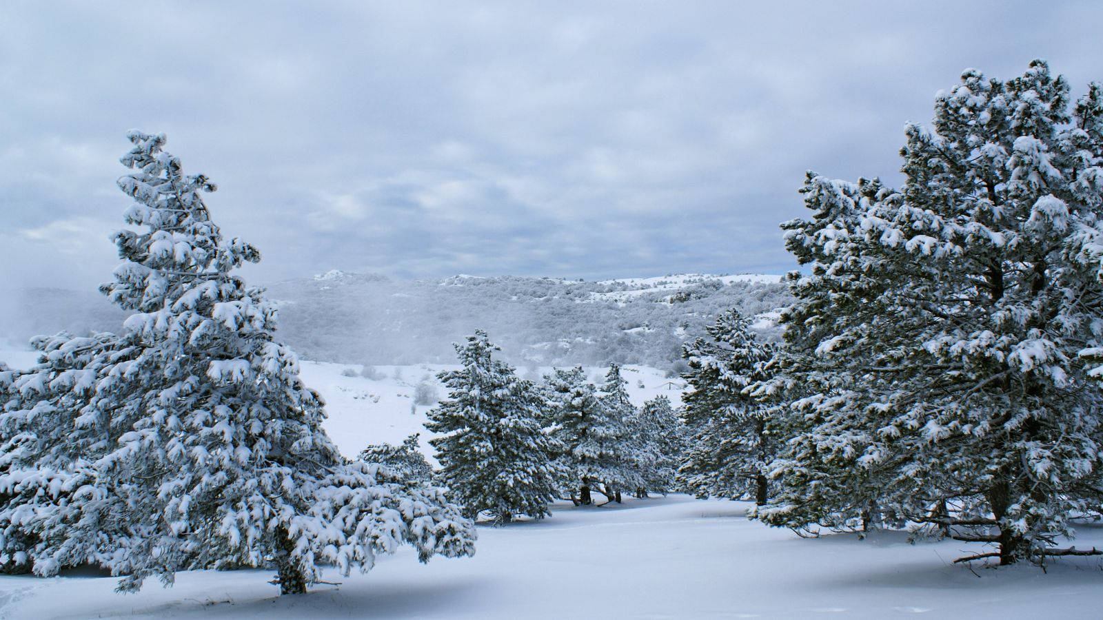 IMGW wydał alerty w tych województwach. Polacy muszą się przygotować na zamiecie śnieżne