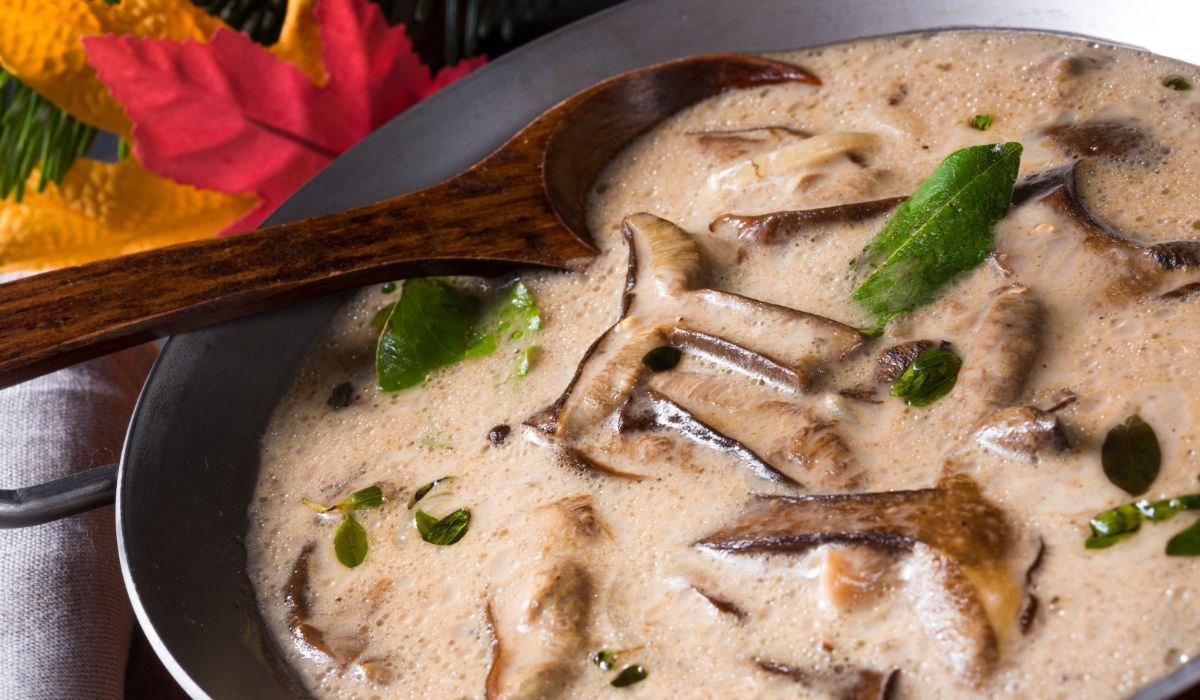 Przenigdy nie dodawaj go do zupy grzybowej. Będzie nadawać się tylko do kosza