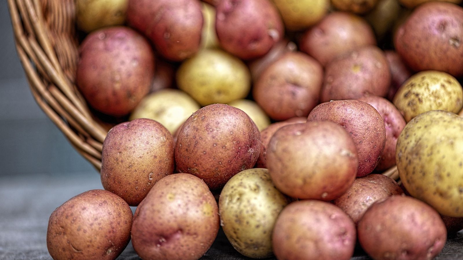 Michał Troszkiewicz