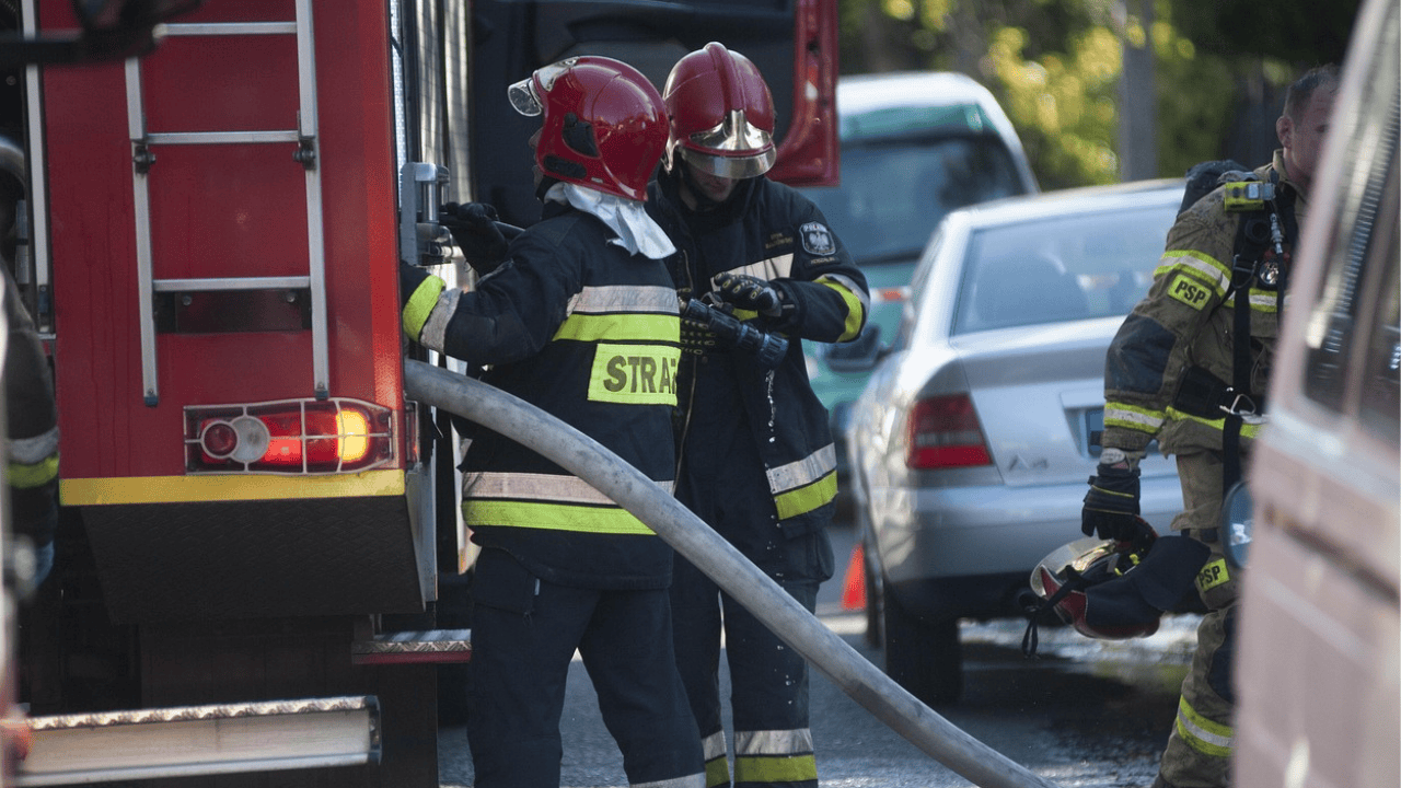 Nie żyje młoda kobieta i pies. Tragiczny wypadek