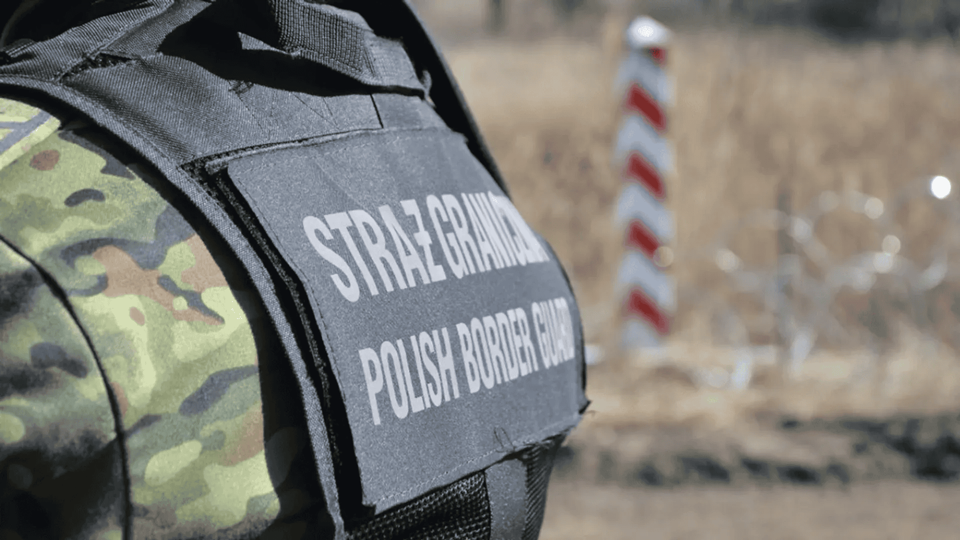 Deportacje z Polski. Tysiące osób do wydalenia z kraju, ta grupa zdecydowanie przeważa