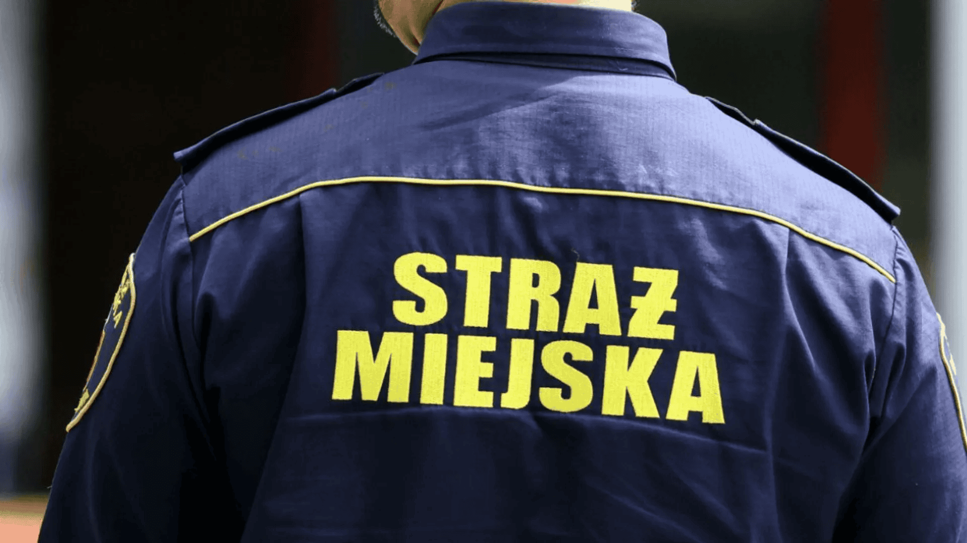 Wchodzą do domu i sprawdzają jedną rzecz. Nowy typ kontroli już działa, kary sięgają 5000 zł