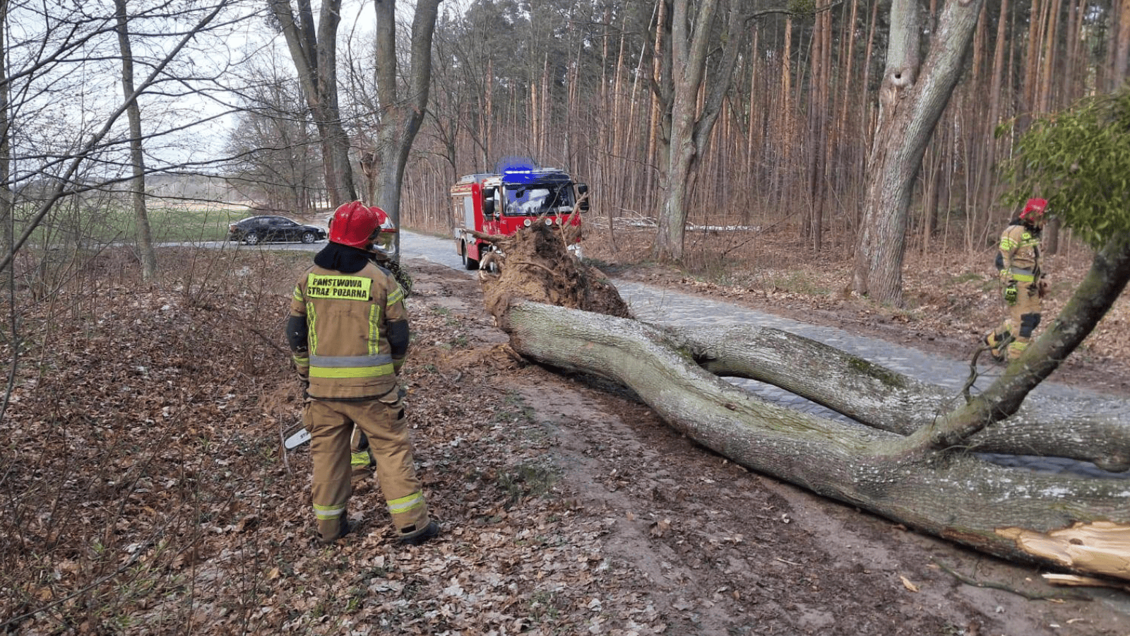 MSWiA wydało ważny komunikat. Ponad 120 interwencji straży pożarnej w jednym dniu
