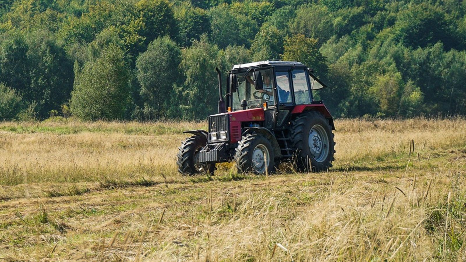 Rekordowe kary dla polskich rolników. ARiMR wykryło gigantyczne nieprawidłowości
