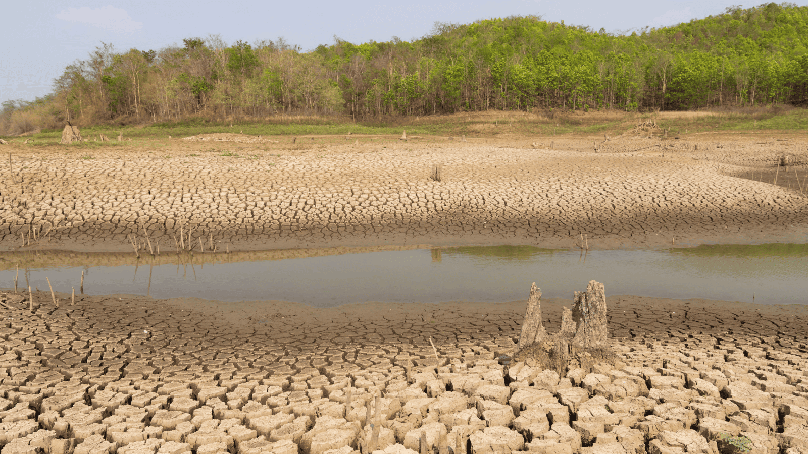 Nadciąga groźne El Nino. Eksperci ostrzegają ws. rekordowych temperatur