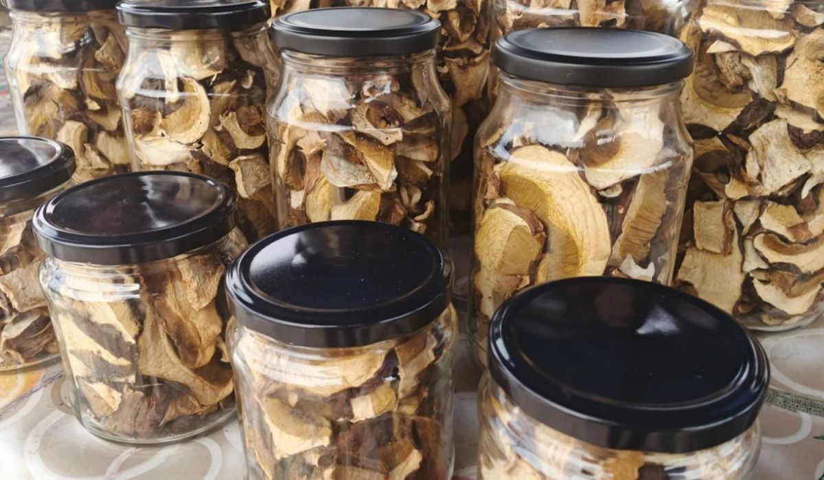 Najgorszy błąd podczas suszenia grzybów. Wszystkie spleśnieją