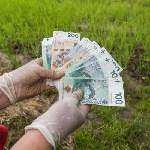 Emerytura po 30 latach pracy na roli. Tyle co miesiąc wypłaci KRUS