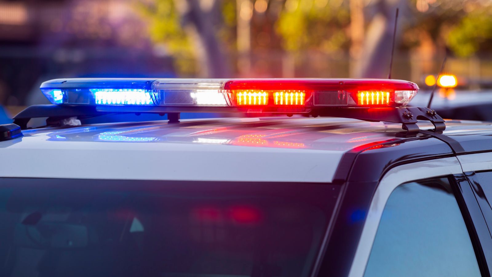 Zagadkowe zgony w Wigilię. Służby wszczęły śledztwo