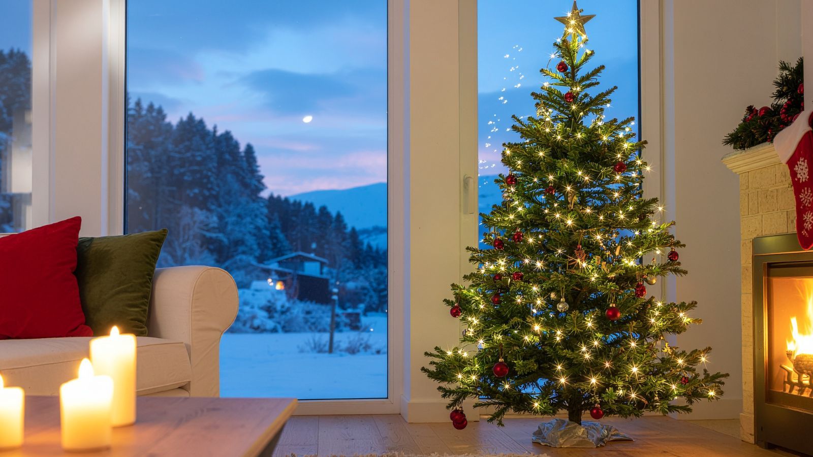 Tyle Polacy zapłacą za choinkę w tym roku. Przed świętami będą musieli sięgnąć głęboko do portfela