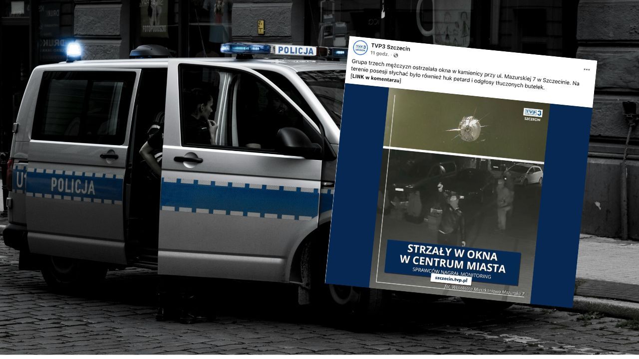 policja