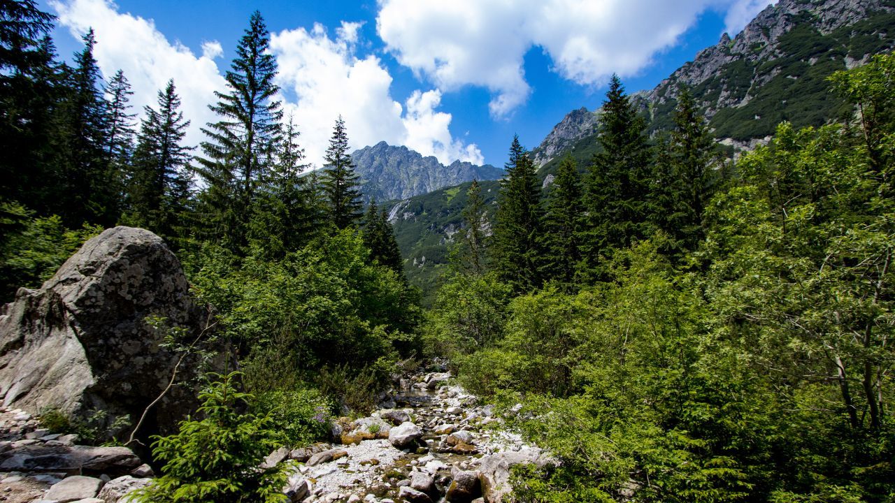 szlak tatry.jpg