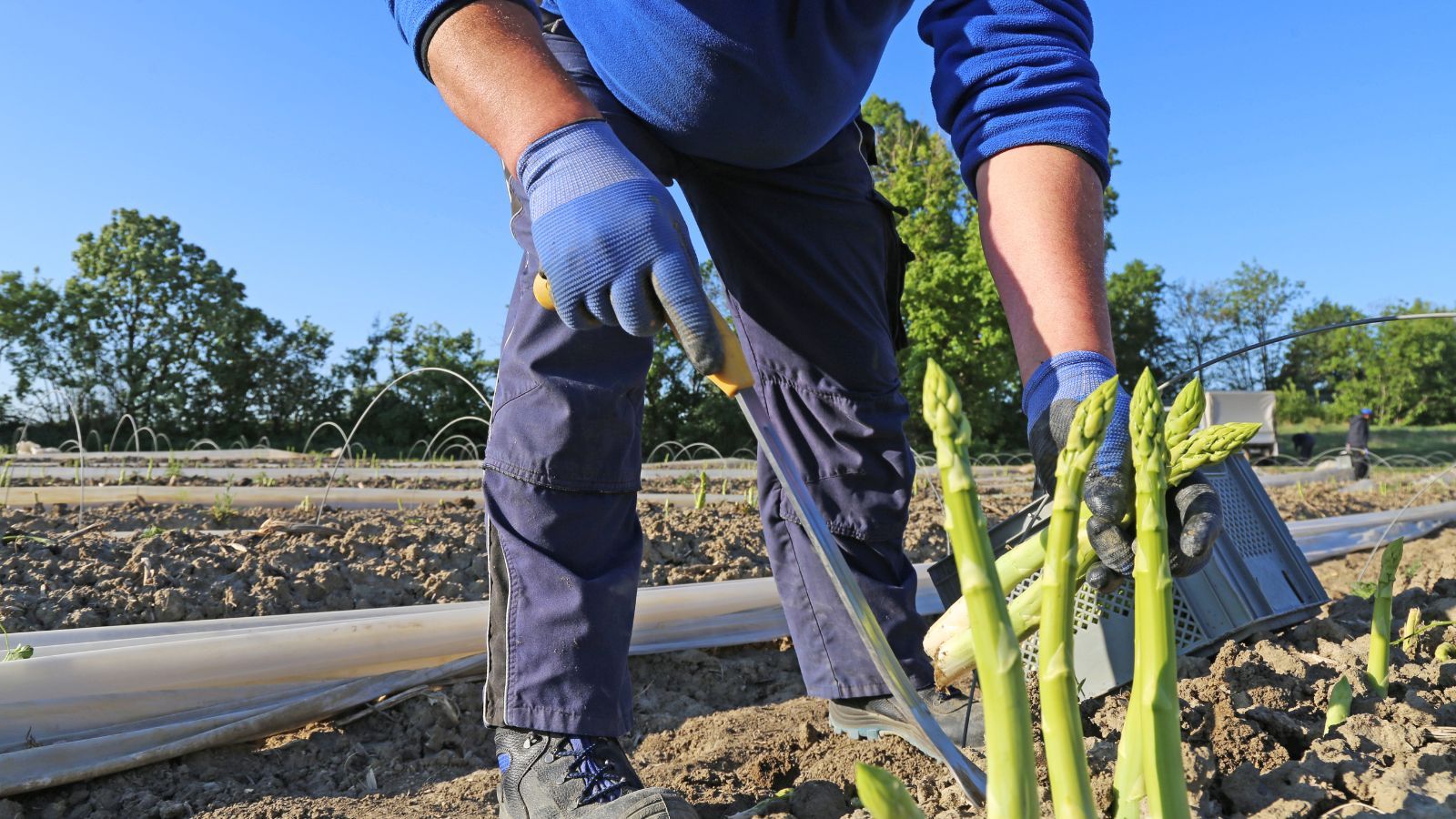Płacą 14 tys. zł miesięcznie, a wymagania są minimalne. Polacy i tak kręcą nosem na tę pracę