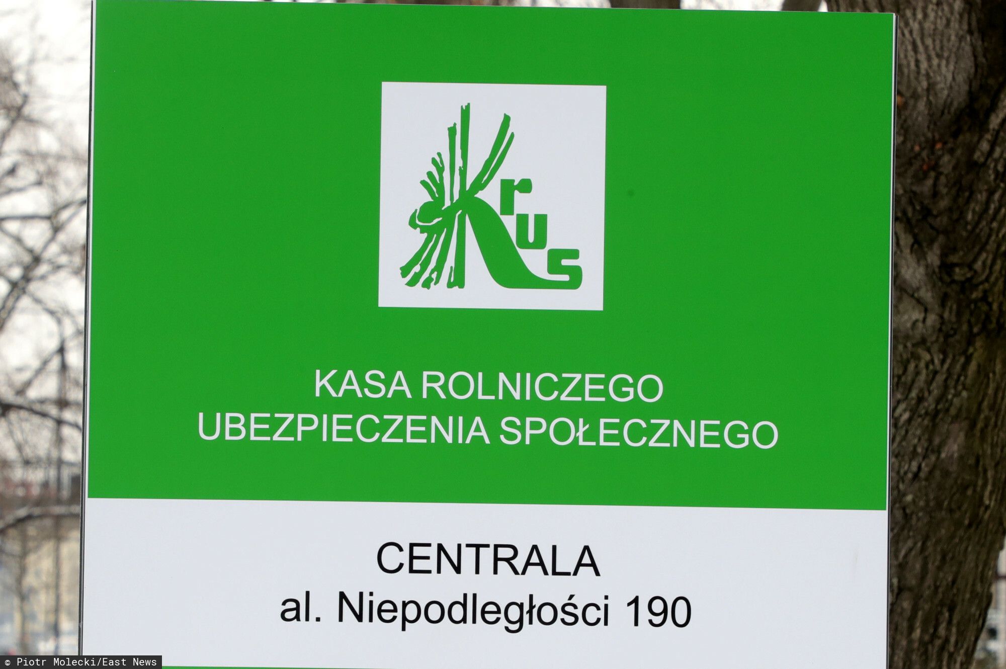 Koniec z listami z KRUS. Rolnicy muszą uważać na terminy, papierowe przekazy znikają
