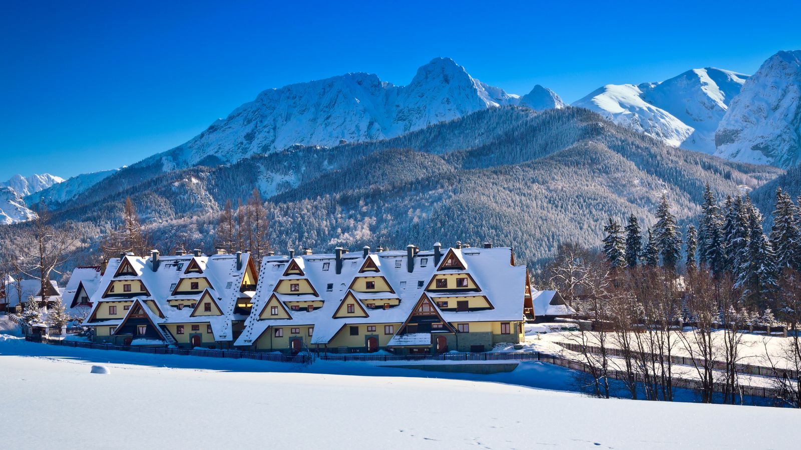 Tyle kosztują ferie zimowe w Zakopanem. Te kwoty to nie żart, turyści się zdziwią