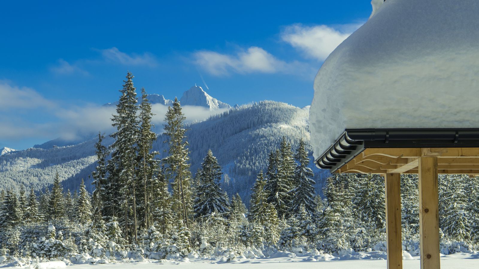 Poszła do góralskiej karczmy, po wszystkim pokazała paragon. Doliczyli jej to do rachunku