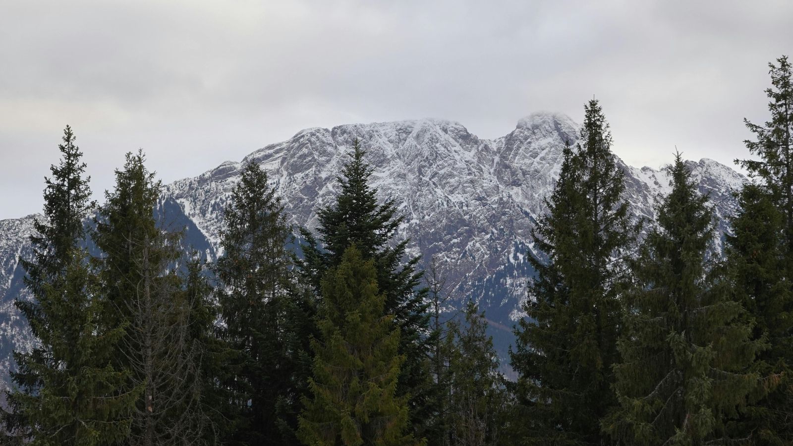 Lawina mandatów w Zakopanem. Kierowcy masowo próbują ominąć odwieczny zakaz