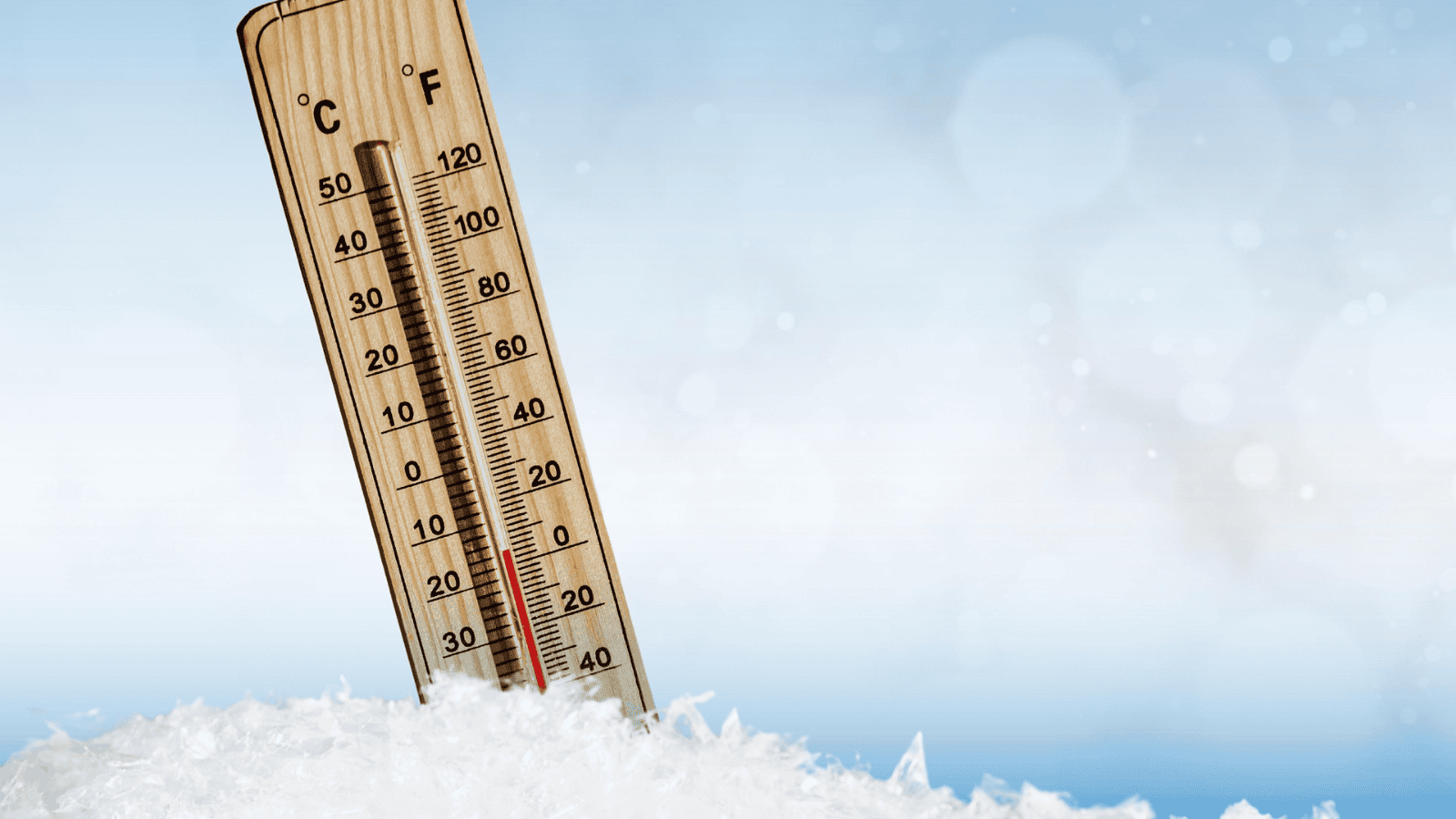 Redakcja Rolnik Info