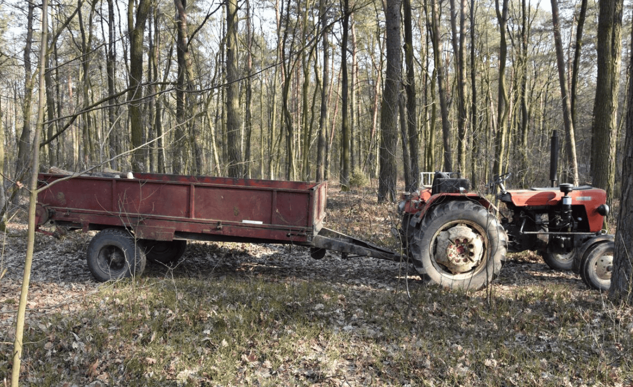 Tragedia w lesie. Mężczyzna dokonał porażającego odkrycia, w akcji prokuratura