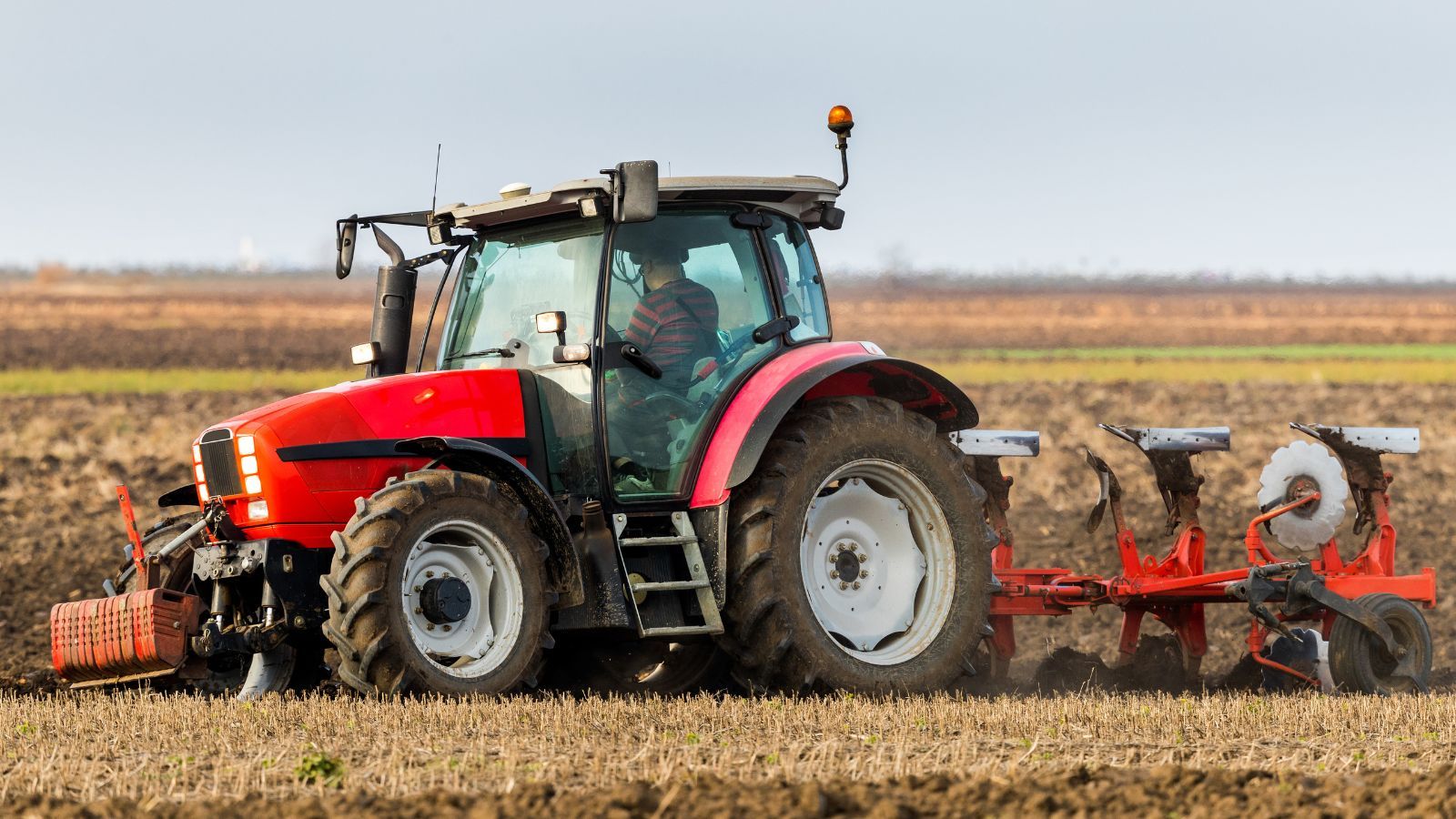 Oferują ogromne pieniądze za wynajem. Gdy znikają, rolnik zostaje z długami nie do spłacenia