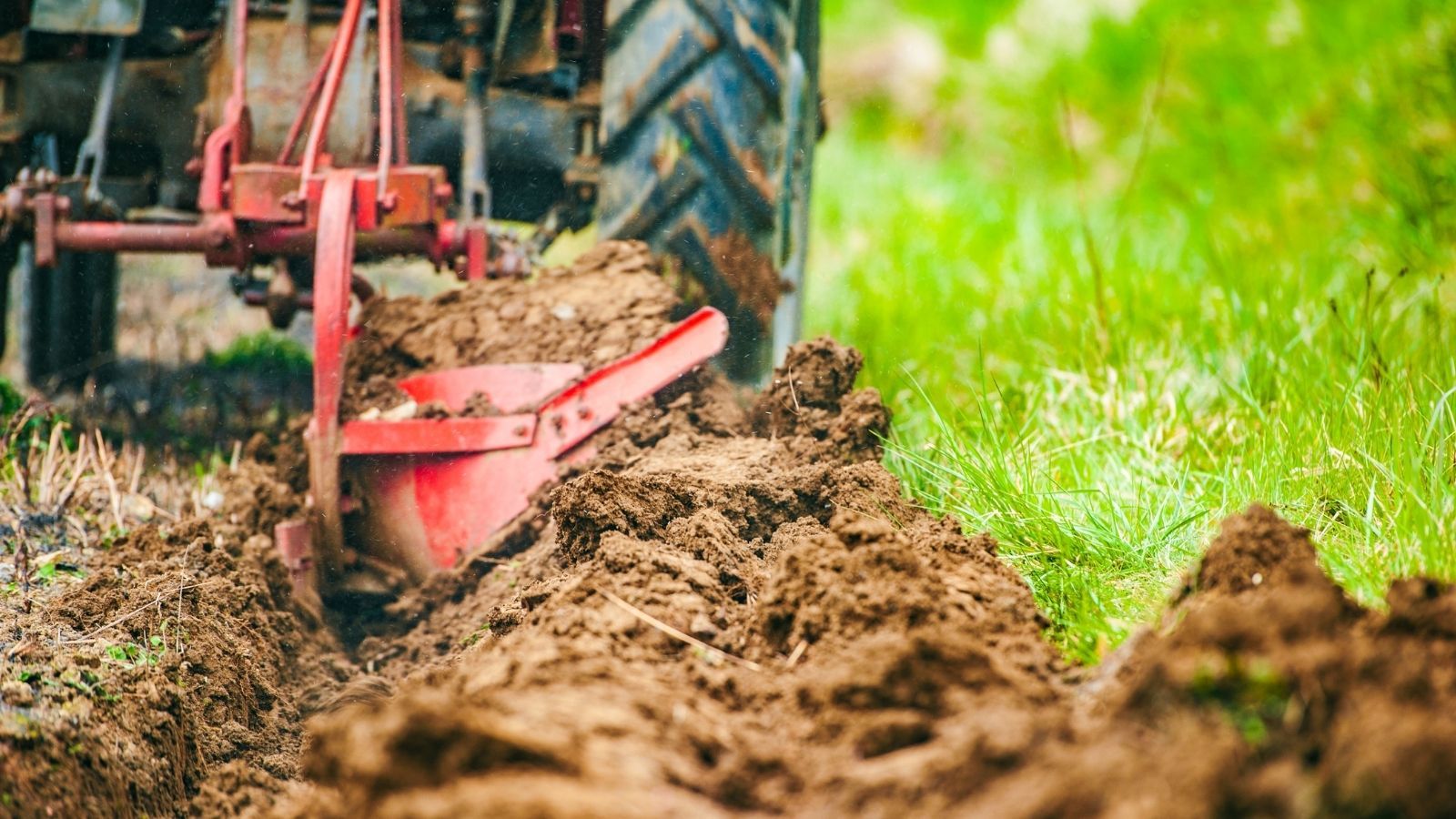 Rolnicy już to liczą. Takie są ceny orki, siewu i rozrzucania obornika w 2026