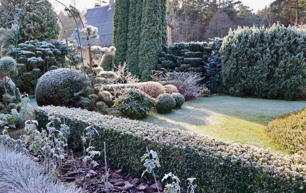 Wystarczy chwila nieuwagi, a pleśń śniegowa zniszczy Twój trawnik. Tak jej zapobiegniesz