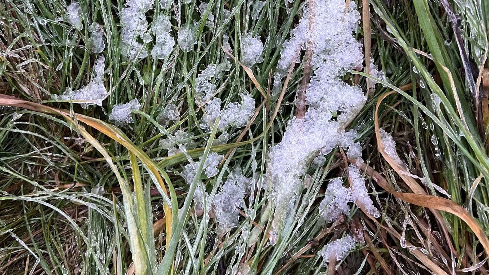Pierwsze koszenie trawy po zimie. Ten błąd może zniszczyć trawnik