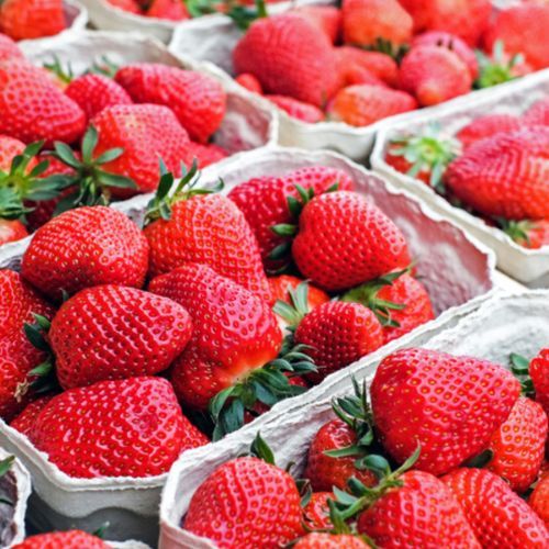 Ceny wciąż rosną, owoców brakuje. Kryzys na rynku truskawek