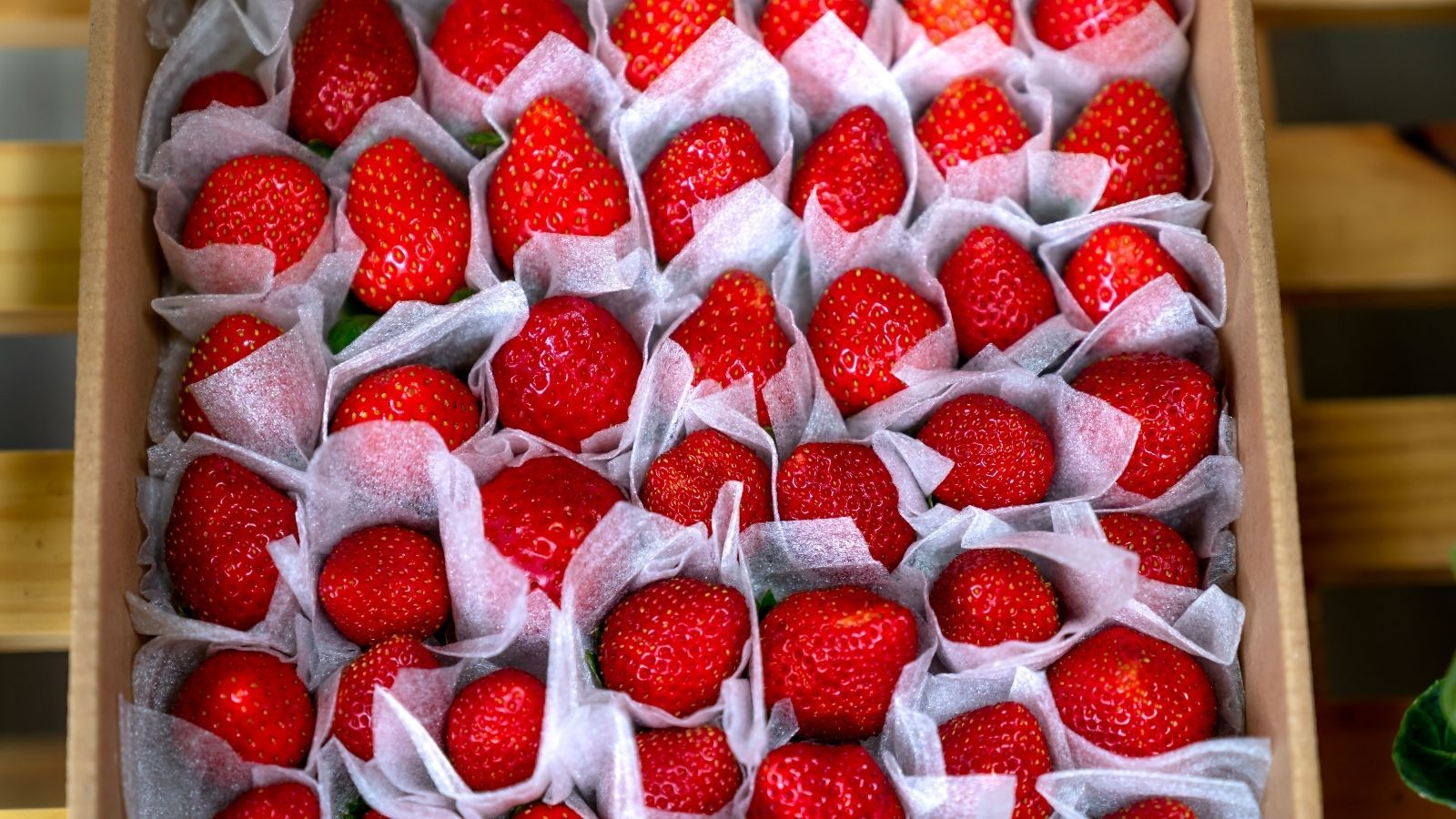 Tyle trzeba zapłacić za kilogram truskawek w 2026 roku. Nie każdy może sobie pozwolić