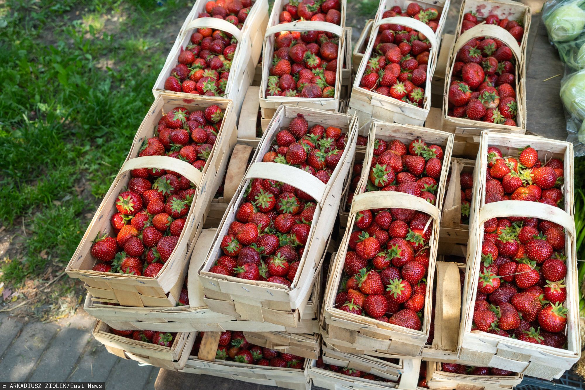 Tyle kosztują polskie truskawki w 2026 roku. Ceny jak z kosmosu