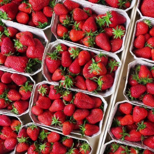 Wachowicz pokazała, jak przechowuje truskawki. Nie pleśnieją i są świeże przez długi czas