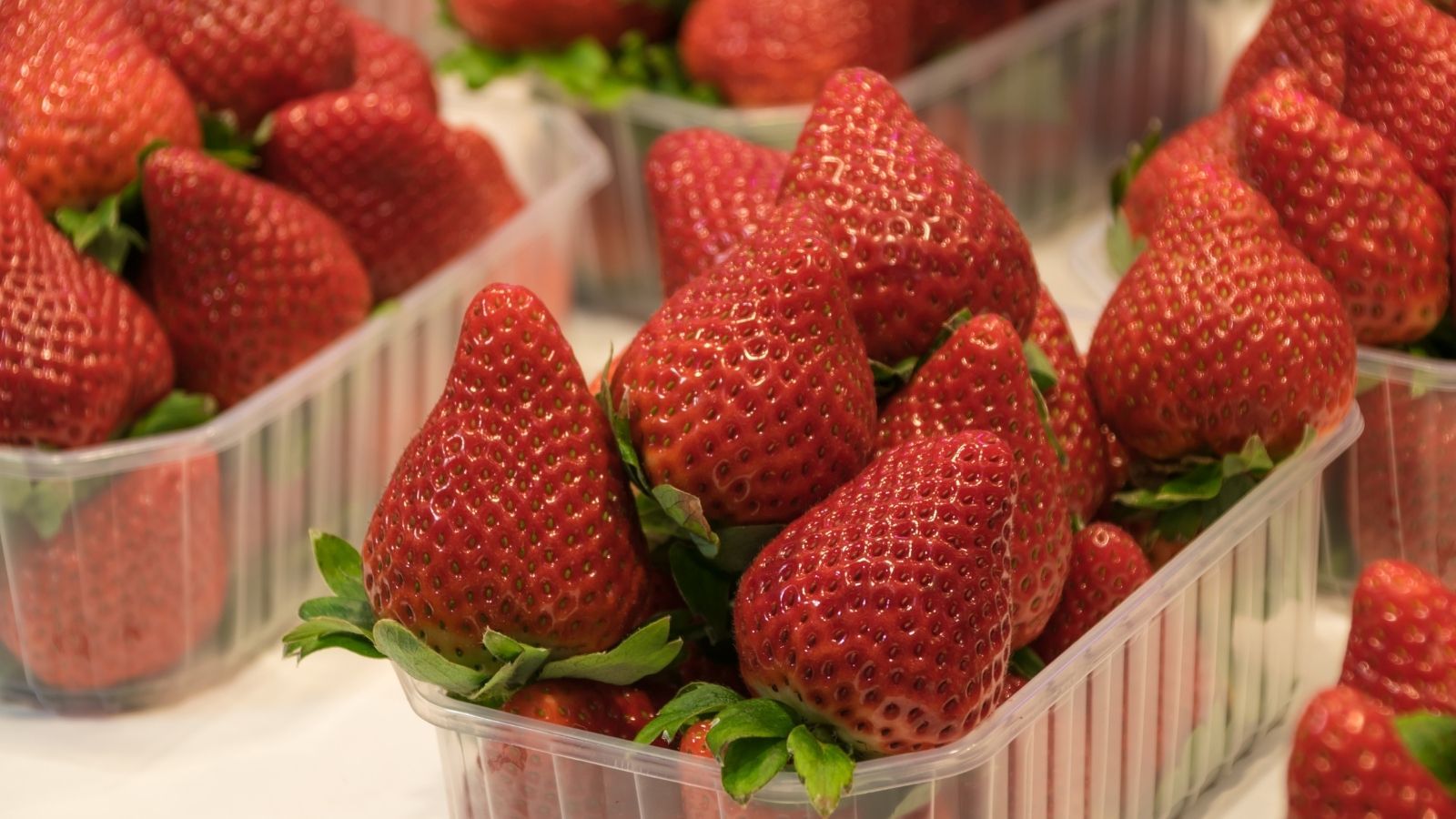 Tyle trzeba zapłacić za kilogram truskawek w 2026 roku. Nie każdy może sobie pozwolić