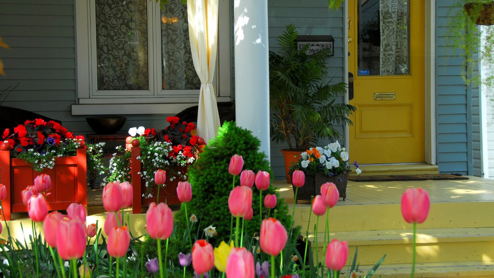 Masz tę roślinę w ogrodzie lub na działce? Polacy wciąż nie wiedzą, że jest zakazana