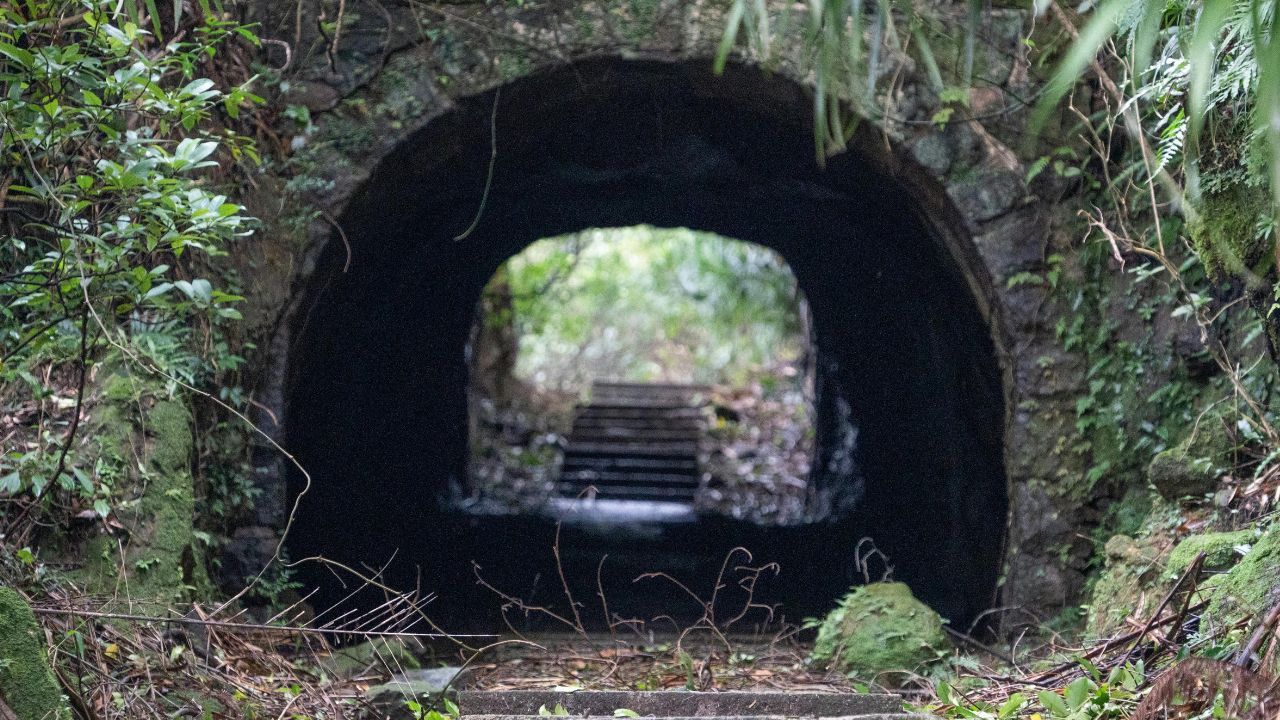 Przełom ws. "złotego pociągu". Poszukiwacze właśnie ogłosili. To się stało po cichu