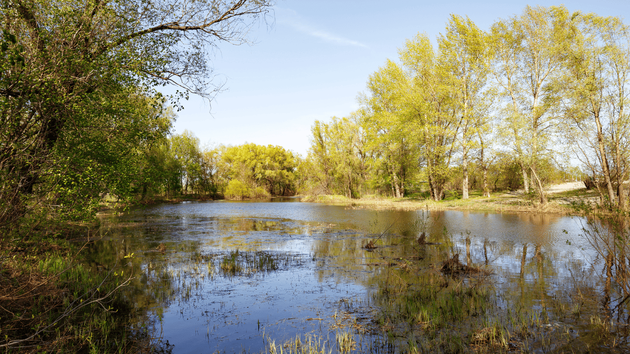 Rzeka