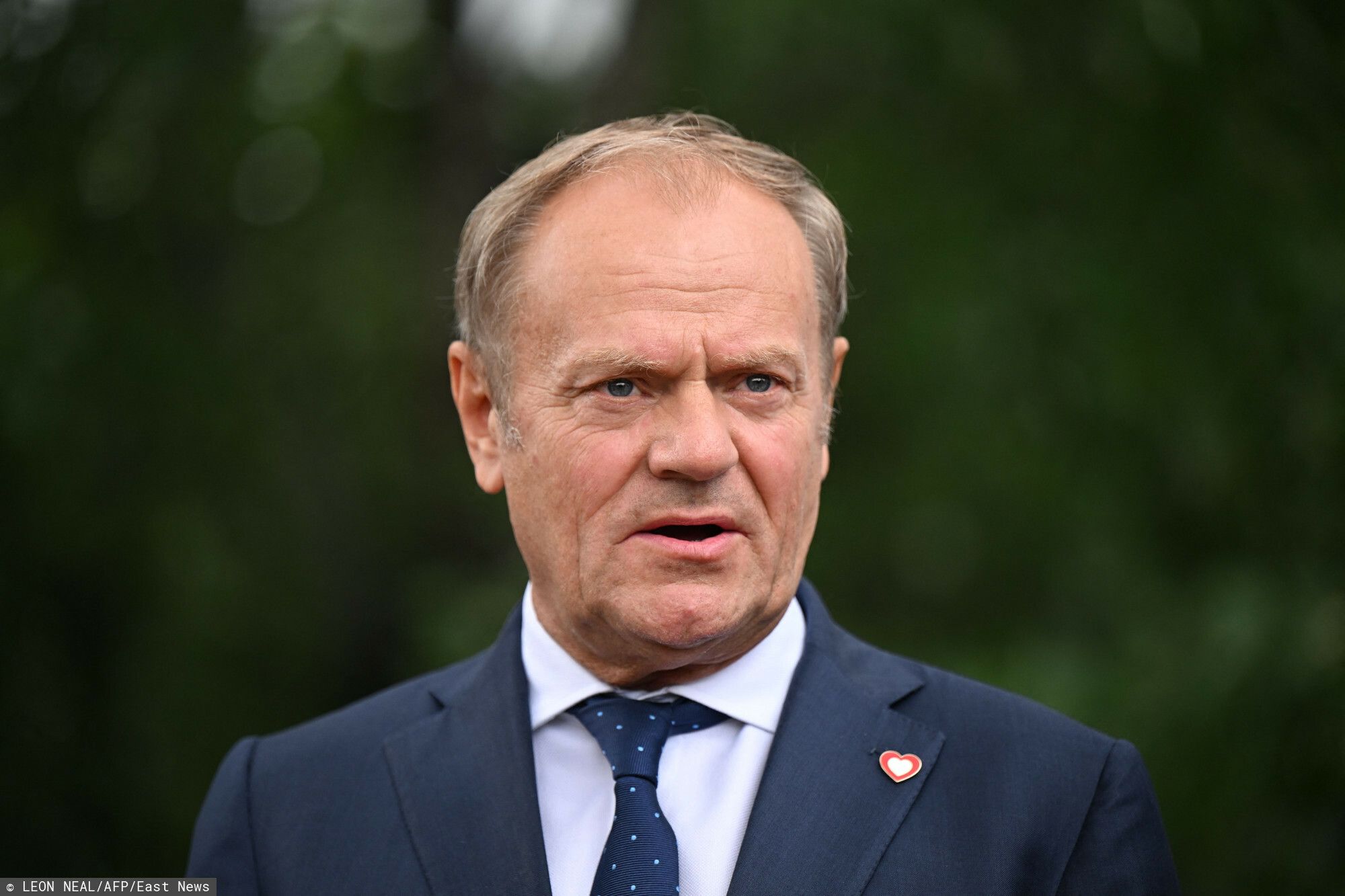 tusk.jpg