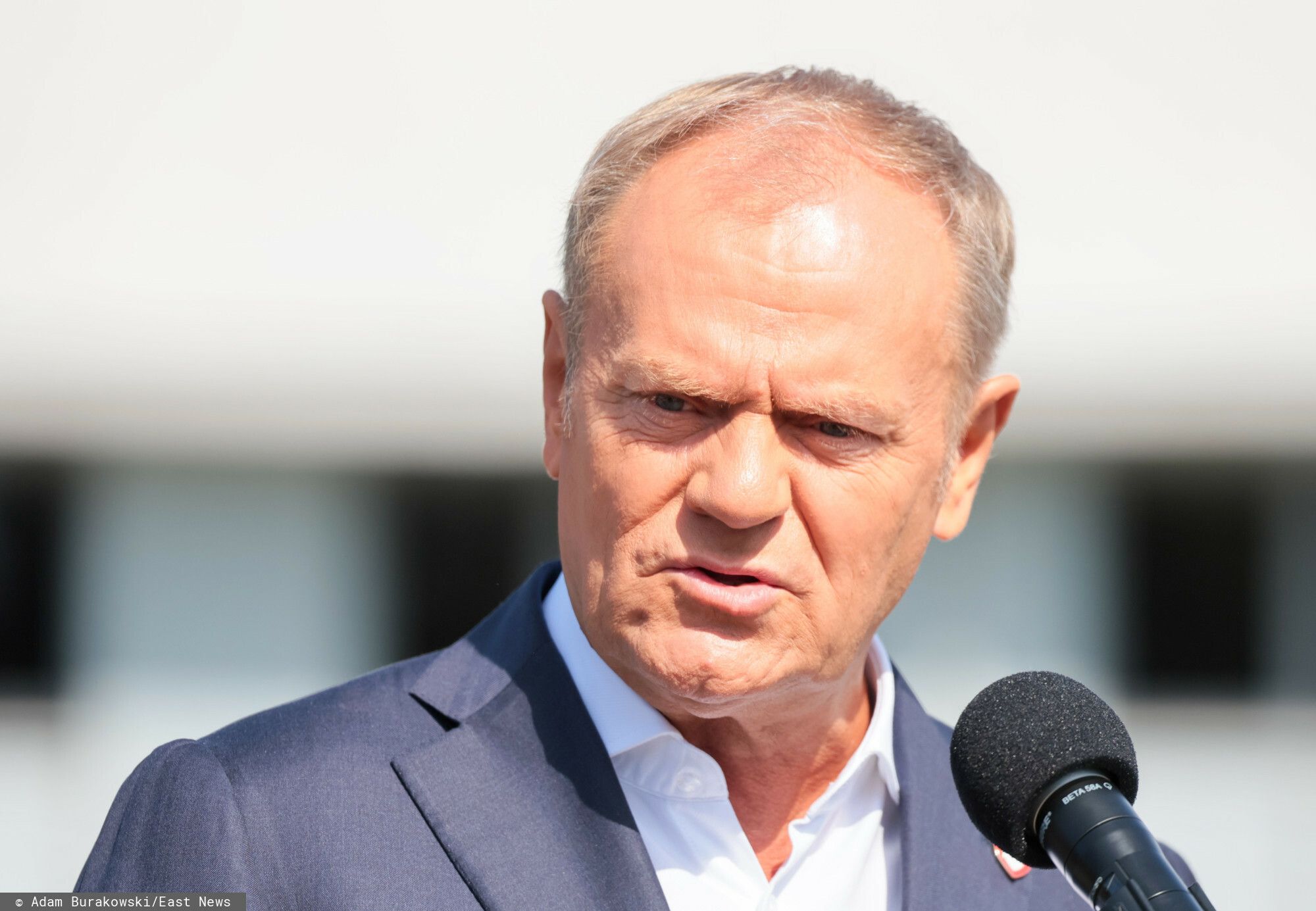tusk.jpg