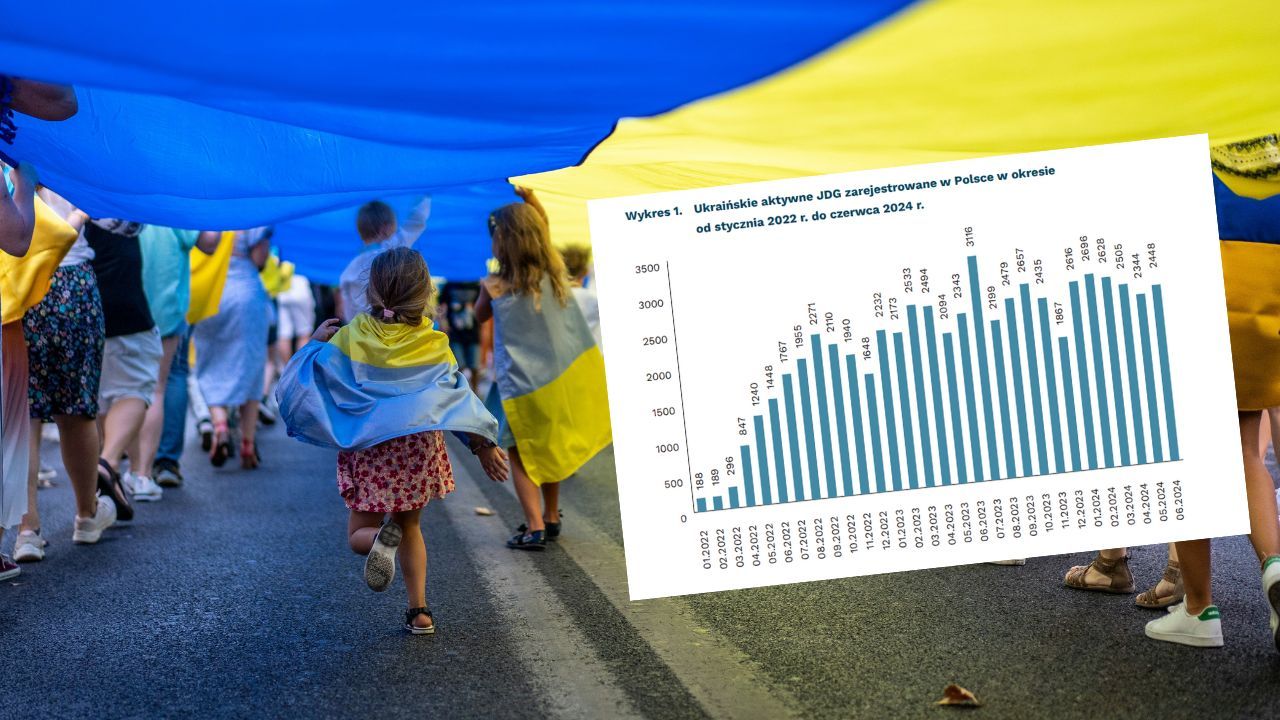 Ukraińcy zakładają JDG w Polsce. Dane, PIE 2024