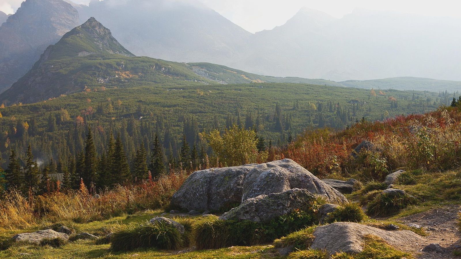 Michał Troszkiewicz