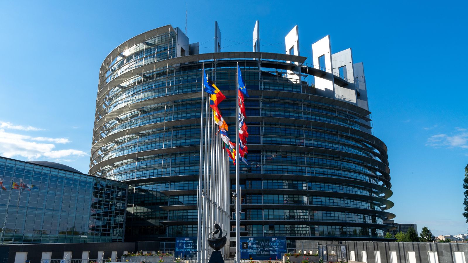Zapytali Polaków o polexit. Jest najnowszy sondaż