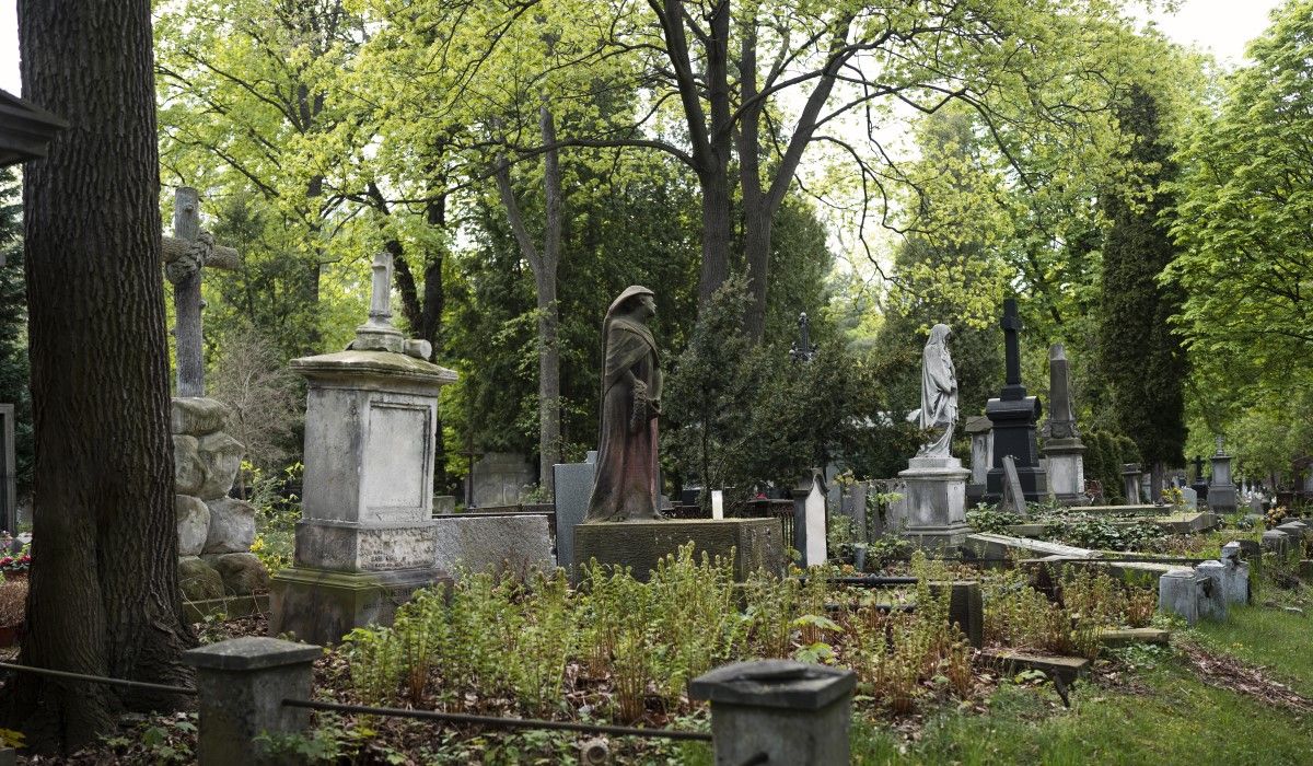 view-graves-cemetery.jpg