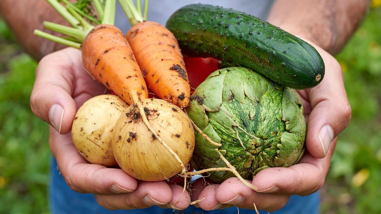 Podatek od samozbioru. Rolnicy nie unikną skarbówki, resort stawia sprawę jasno