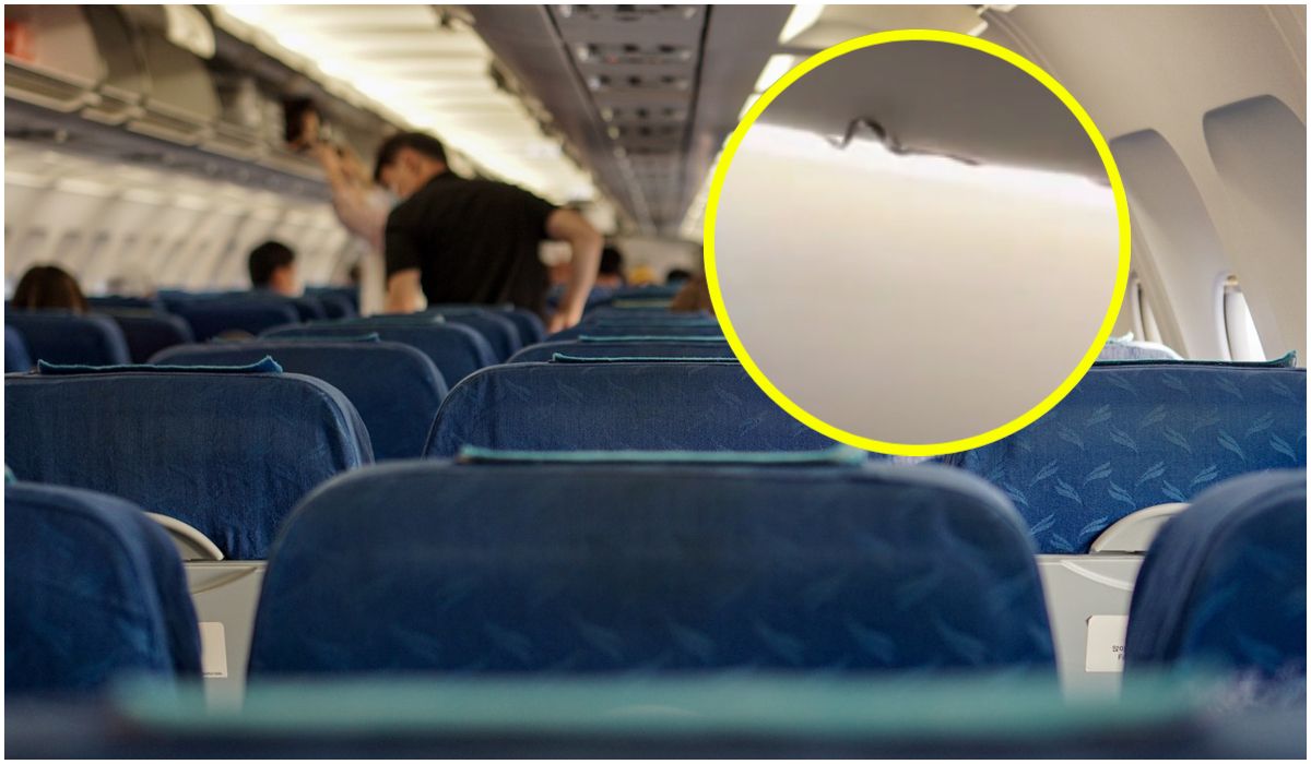 Pasażer dojrzał w samolocie węża
