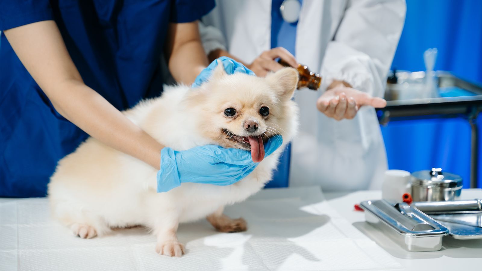 Ile teraz zarobisz? 113 zł za godzinę pracy dla wybranych zawodów. Rząd zdradza szczegóły