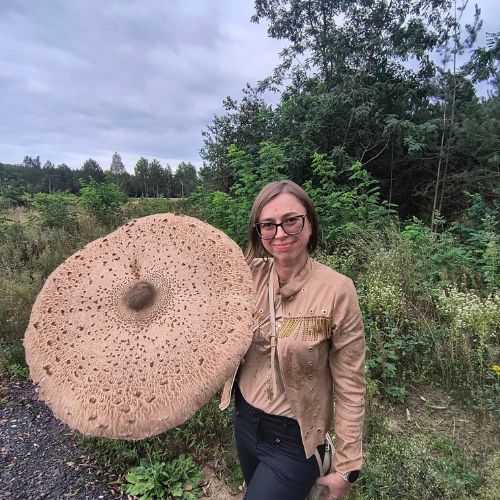 Grzyb jak parasol! Rekordowa kania zachwyciła internautów